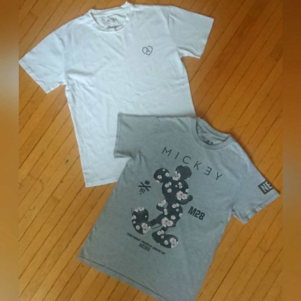Aritzia and Disney Short Sleeve Tee, size S